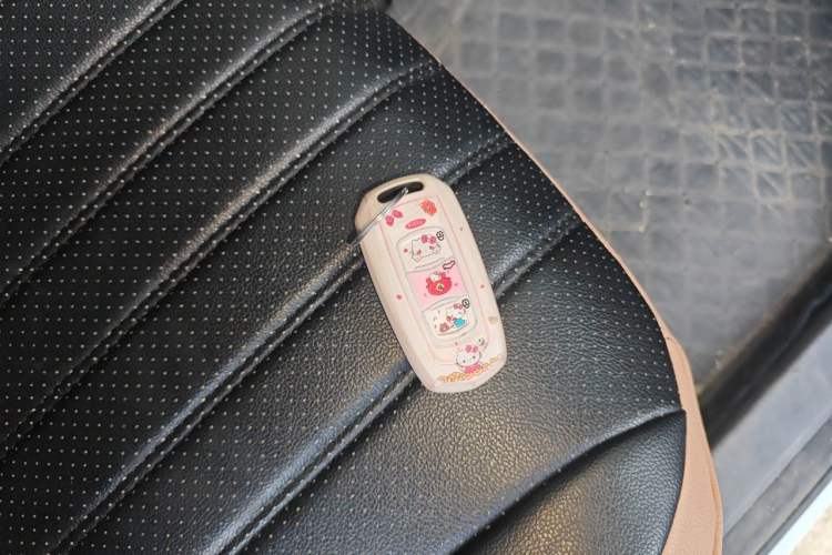 Used Geely Galaxy Panda 2024 Panda Mini 200km Endurance Bear Vehicle Key