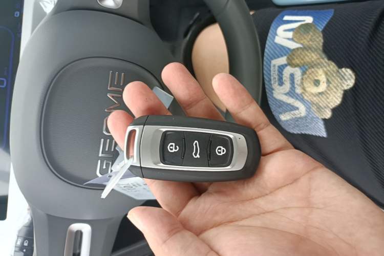 Used Geely Galaxy Panda 2024 Panda Mini 200km Endurance Bear Vehicle Key