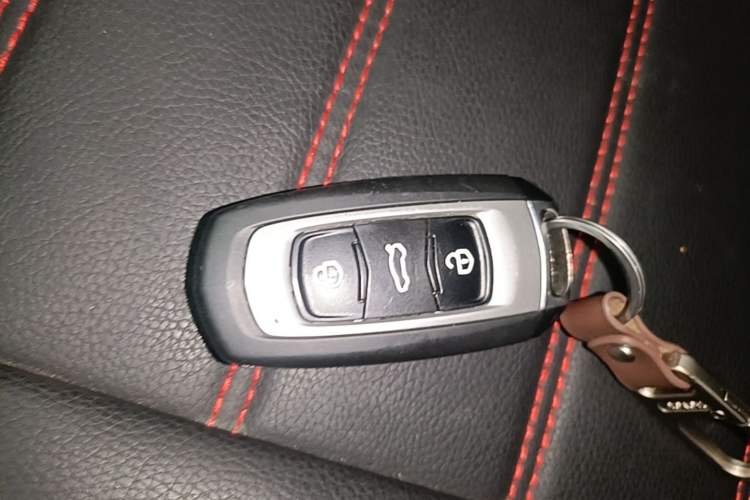 Used Geely Galaxy Panda 2024 Panda Mini 200km Endurance Bear Vehicle Key