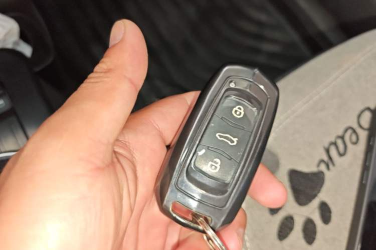 Used Geely Galaxy Panda 2024 Panda Mini 200km Endurance Bear Vehicle Key