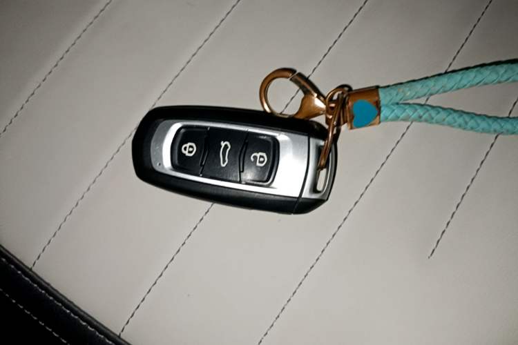 Used Geely Galaxy Panda 2024 200km Panda Kart Vehicle Key