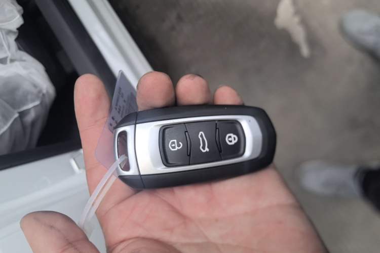 Used Geely Galaxy Panda 2024 Panda Mini 200km Endurance Bear Vehicle Key