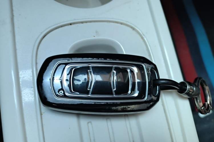 Used Geely Galaxy Panda 2024 Panda Mini 200km Endurance Bear Vehicle Key