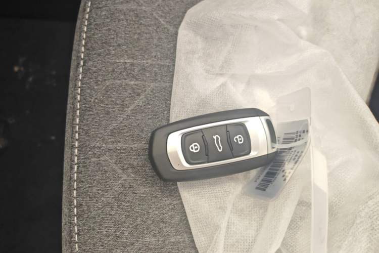 Used Geely Galaxy Panda 2024 Panda Mini 200km Endurance Bear Vehicle Key