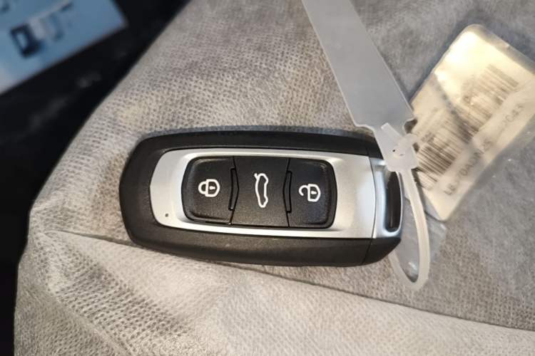 Used Geely Galaxy Panda 2024 Panda Mini 200km Endurance Bear Vehicle Key