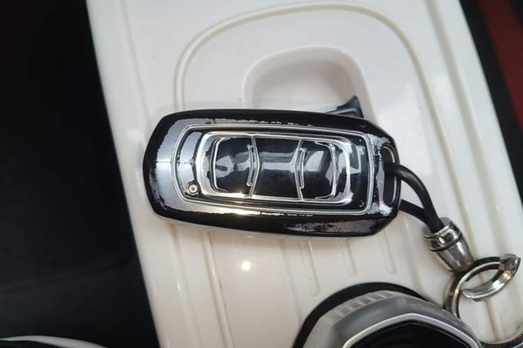Used Geely Galaxy Panda 2024 Panda Mini 200km Endurance Bear Vehicle Key