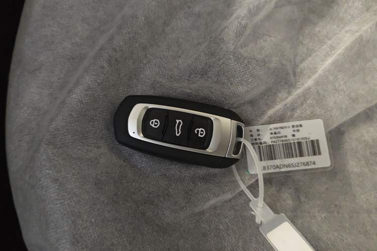 Used Geely Galaxy Panda 2024 Panda Mini 200km Endurance Bear Vehicle Key