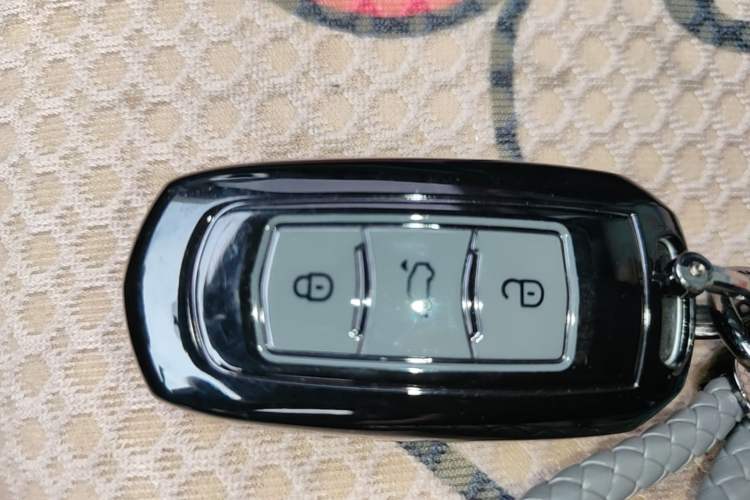 Used Geely Galaxy Panda 2024 200km Panda Kart Vehicle Key