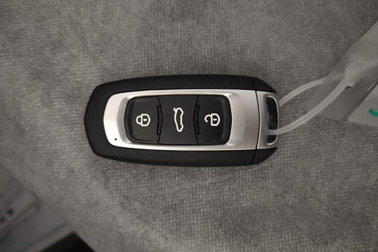 Used Geely Galaxy Panda 2024 Panda Mini 200km Endurance Bear Vehicle Key