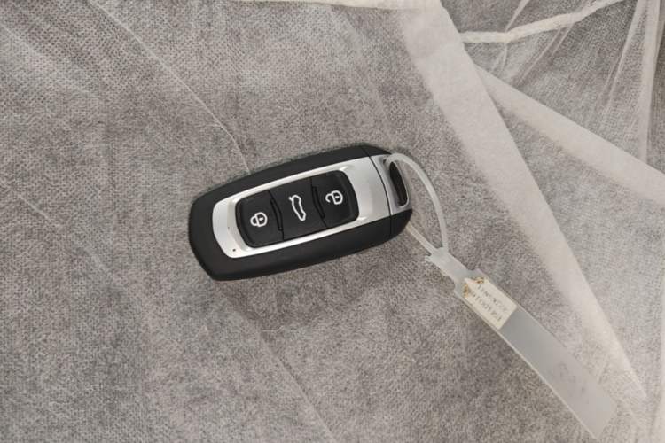 Used Geely Galaxy Panda 2024 Panda Mini 200km Endurance Bear Vehicle Key