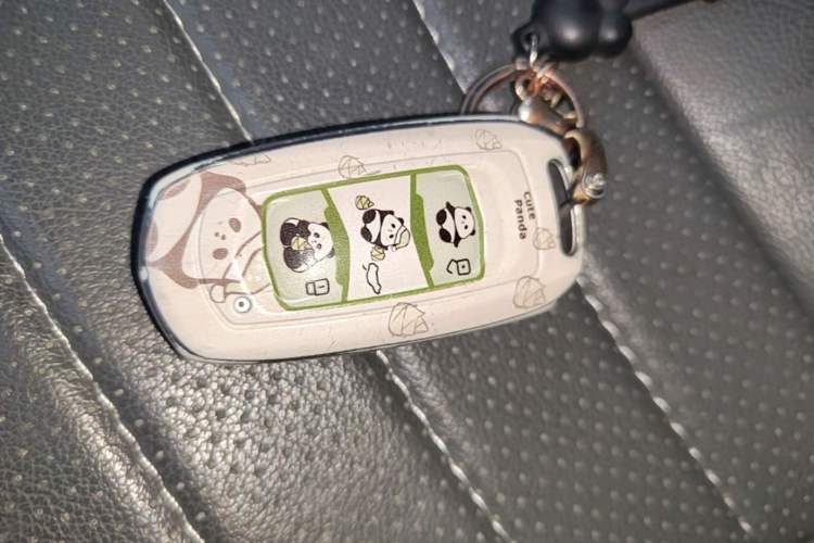 Used Geely Galaxy Panda 2024 Panda Mini 200km Endurance Bear Vehicle Key