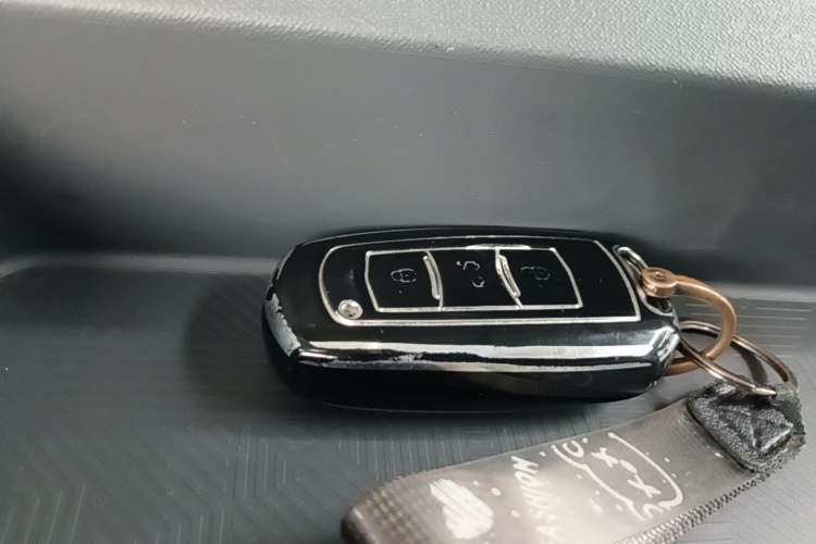 Used Geely Galaxy Panda 2024 Panda Mini 200km Endurance Bear Vehicle Key