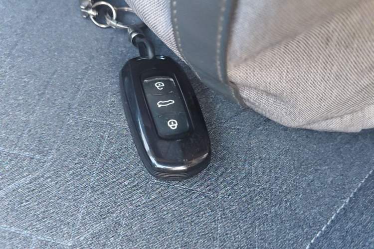 Used Geely Galaxy Panda 2024 Panda Mini 200km Endurance Bear Vehicle Key