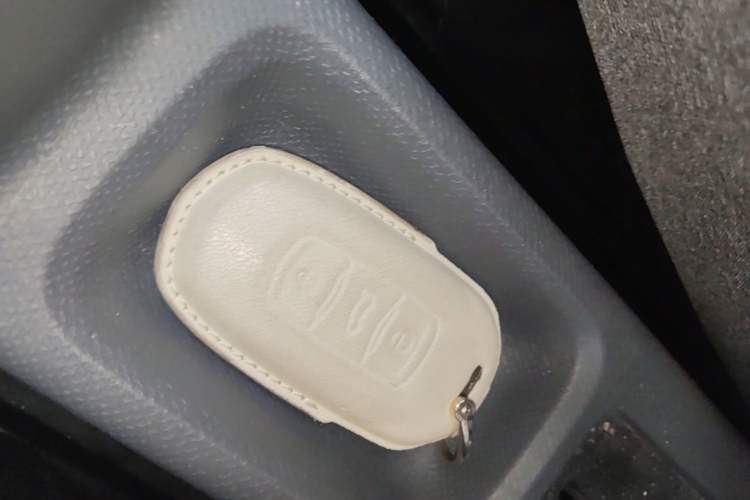 Used Geely Galaxy Panda 2024 Panda Mini 200km Endurance Bear Vehicle Key