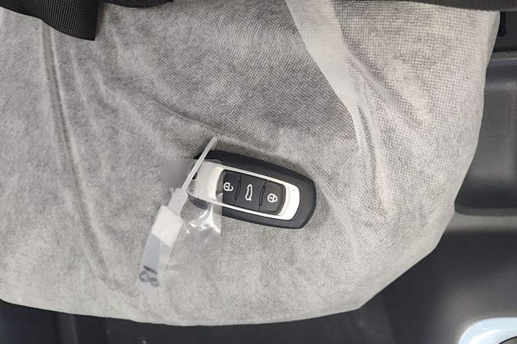 Used Geely Galaxy Panda 2024 Panda Mini 200km Endurance Bear Vehicle Key