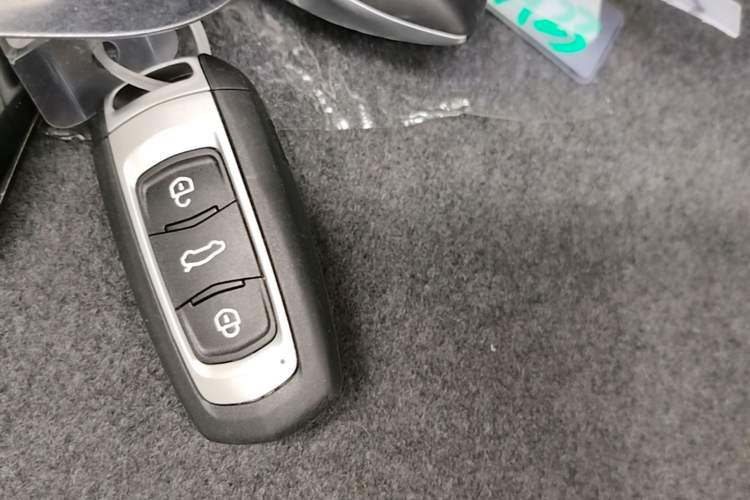 Used Geely Galaxy Panda 2024 Panda Mini 200km Endurance Bear Vehicle Key