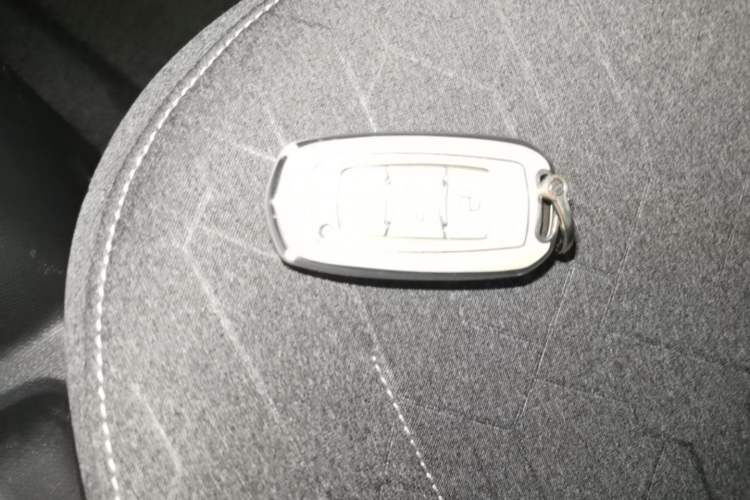 Used Geely Galaxy Panda 2024 Panda Mini 200km Endurance Bear Vehicle Key