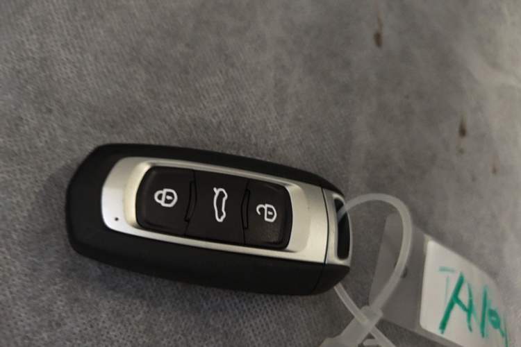 Used Geely Galaxy Panda 2024 Panda Mini 200km Endurance Bear Vehicle Key