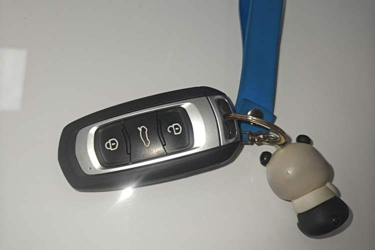 Used Geely Galaxy Panda 2024 Panda Mini 200km Endurance Bear Vehicle Key