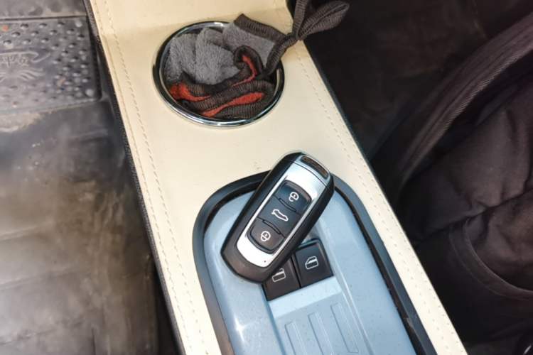 Used Geely Galaxy Panda 2024 Panda Mini 200km Endurance Bear Vehicle Key