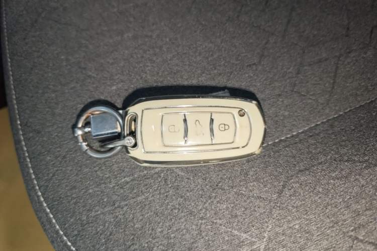 Used Geely Galaxy Panda 2024 Panda Mini 200km Endurance Bear Vehicle Key