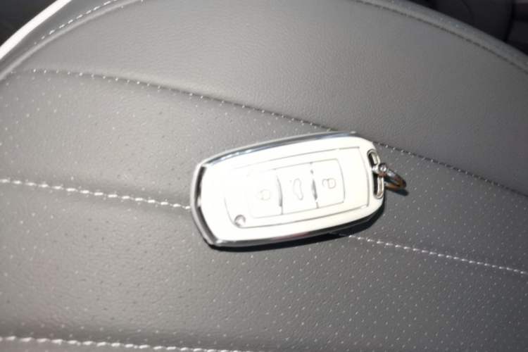 Used Geely Galaxy Panda 2024 Panda Mini 200km Endurance Bear Vehicle Key