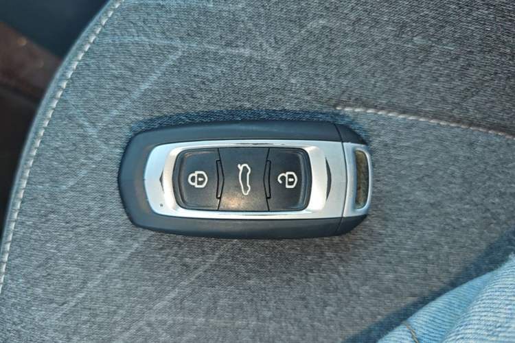 Used Geely Galaxy Panda 2024 Panda Mini 200km Endurance Bear Vehicle Key