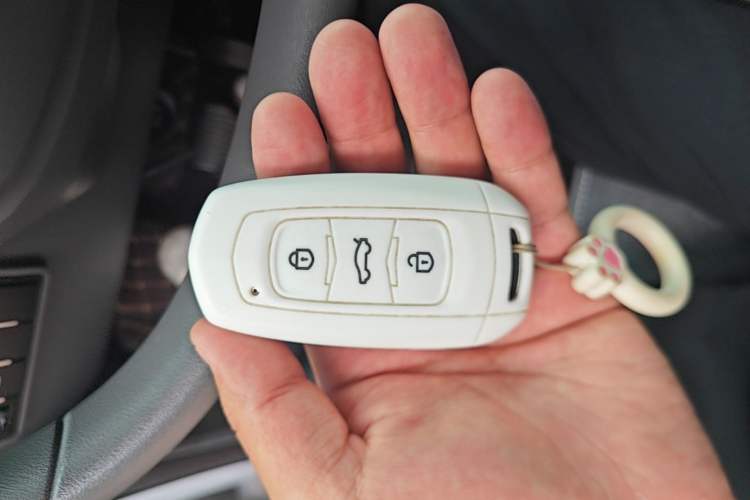 Used Geely Galaxy Panda 2024 Panda Mini 200km Endurance Bear Vehicle Key