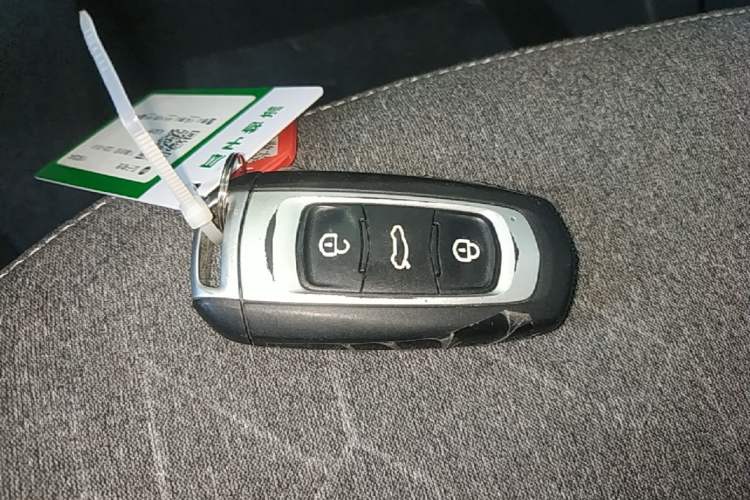 Used Geely Galaxy Panda 2024 Panda Mini 200km Endurance Bear Vehicle Key