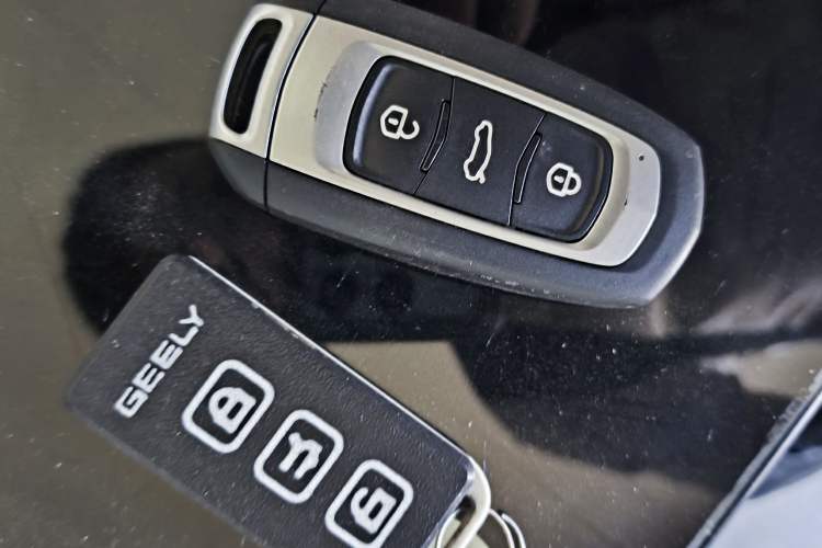 Used Geely Galaxy Panda 2024 Panda Mini 200km Endurance Bear Vehicle Key