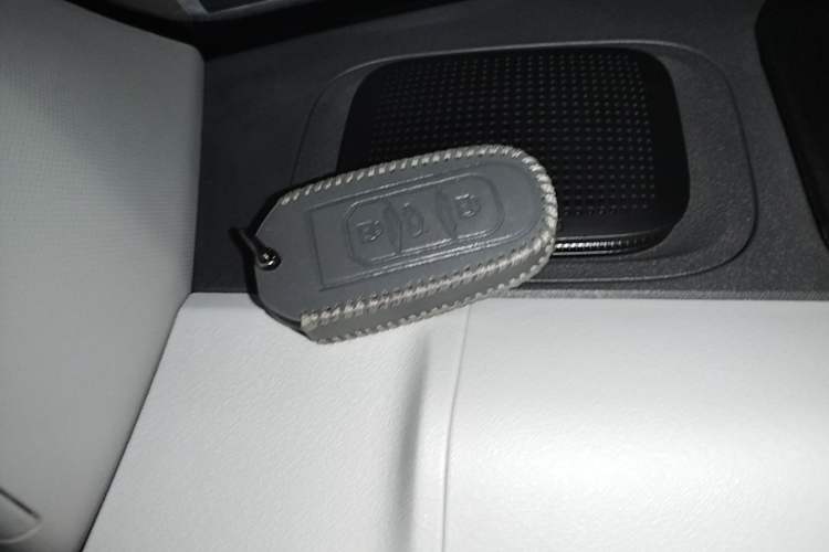 Used Geely Galaxy Panda 2024 200km Panda Kart Vehicle Key