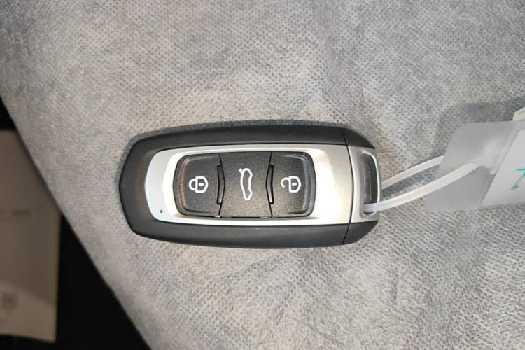 Used Geely Galaxy Panda 2024 Panda Mini 200km Endurance Bear Vehicle Key