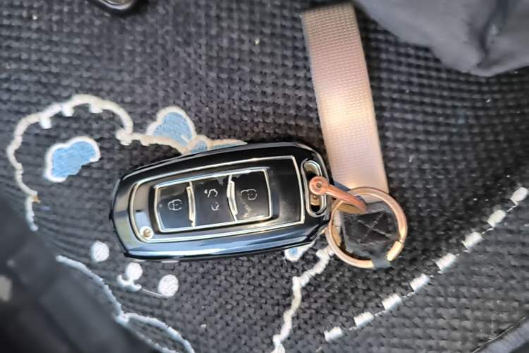 Used Geely Galaxy Panda 2024 Panda Mini 200km Endurance Bear Vehicle Key