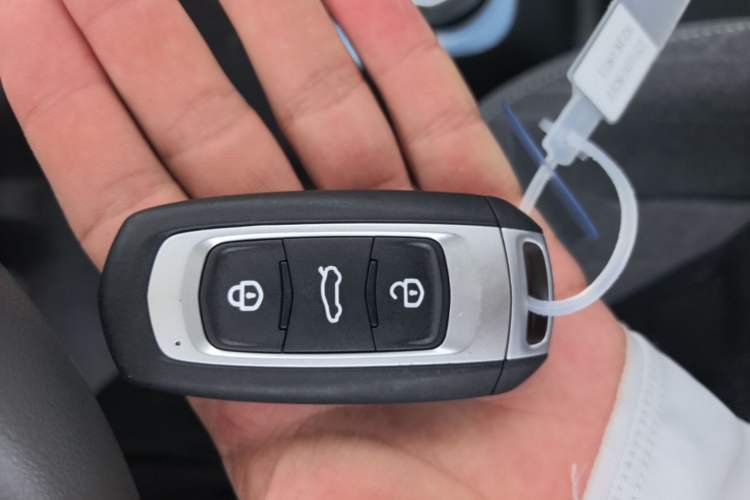 Used Geely Galaxy Panda 2024 Panda Mini 200km Endurance Bear Vehicle Key