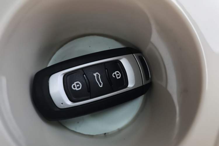 Used Geely Galaxy Panda 2024 200km Panda Kart Vehicle Key