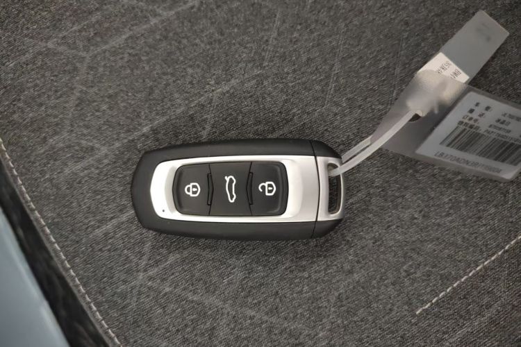 Used Geely Galaxy Panda 2024 Panda Mini 200km Endurance Bear Vehicle Key