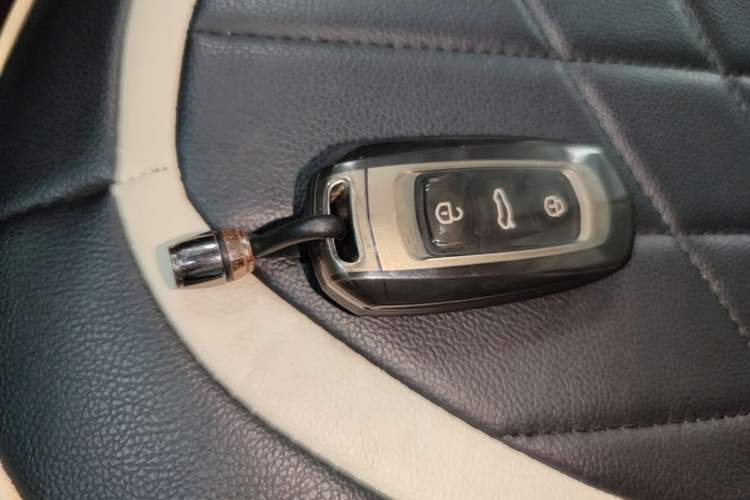 Used Geely Galaxy Panda 2024 Panda Mini 200km Endurance Bear Vehicle Key