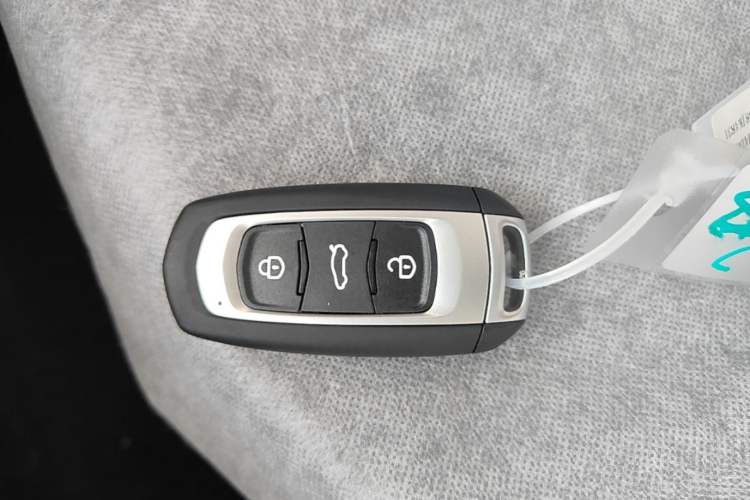 Used Geely Galaxy Panda 2024 Panda Mini 200km Endurance Bear Vehicle Key