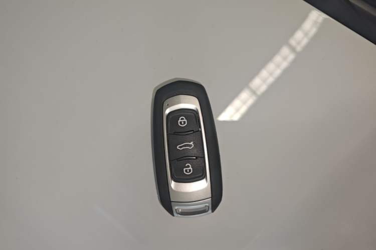 Used Geely Galaxy Panda 2024 Facelifted Panda Mini 200km Dragon Edition Vehicle Key