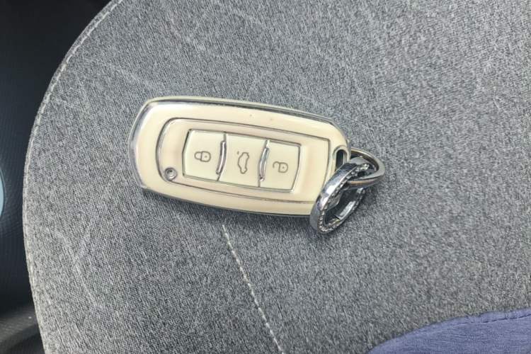 Used Geely Galaxy Panda 2024 Panda Mini 200km Endurance Bear Vehicle Key