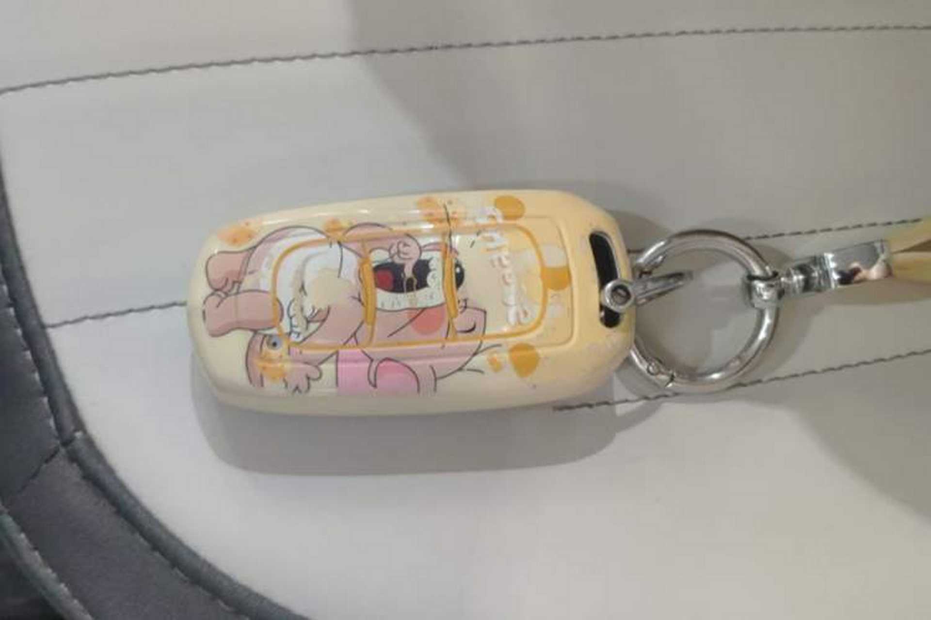 Used Geely Galaxy Panda 2024 200km Panda Kart Vehicle Key