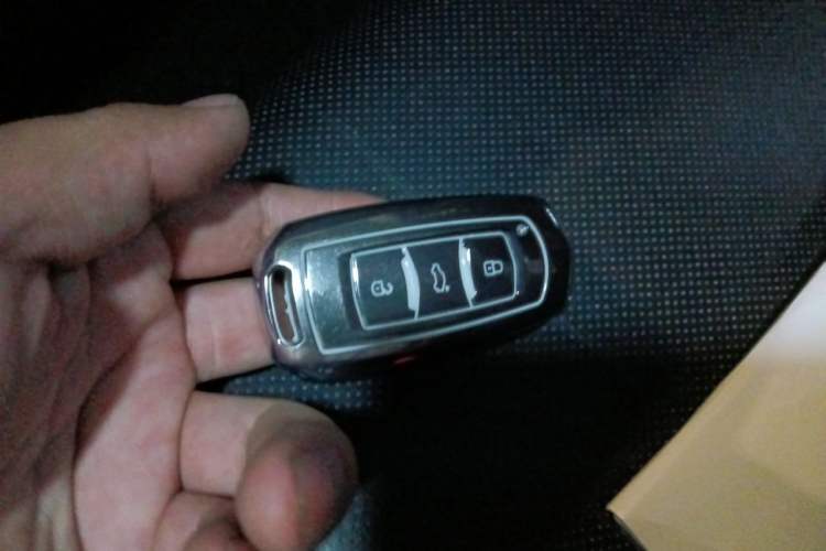 Used Geely Galaxy Panda 2024 Panda Mini 200km Endurance Bear Vehicle Key