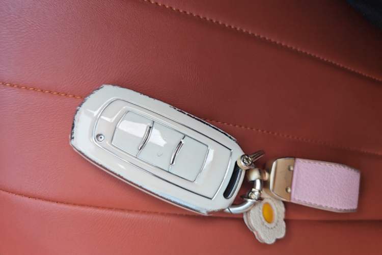 Used Geely Galaxy Panda 2024 Panda Mini 200km Endurance Bear Vehicle Key