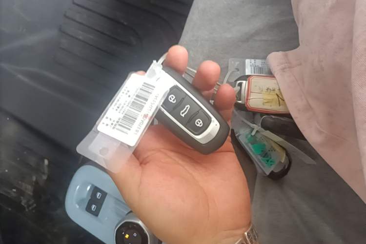 Used Geely Galaxy Panda 2024 Panda Mini 200km Endurance Bear Vehicle Key