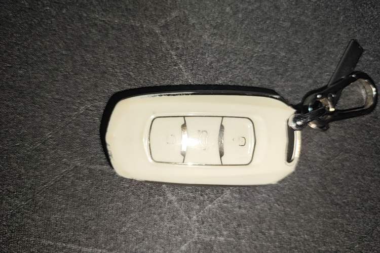 Used Geely Galaxy Panda 2024 Panda Mini 200km Endurance Bear Vehicle Key