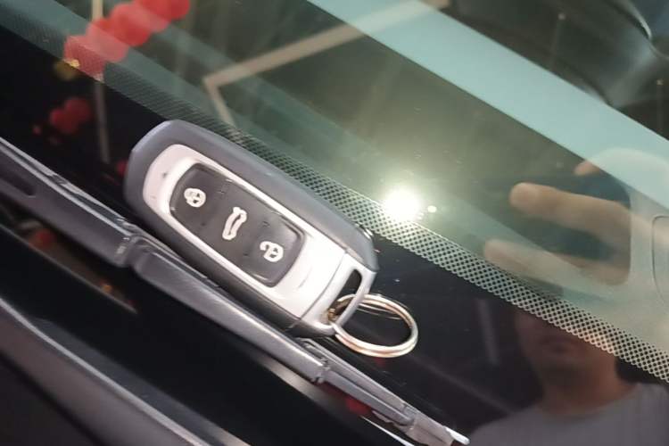Used Geely Galaxy Panda 2024 Panda Mini 200km Endurance Bear Vehicle Key