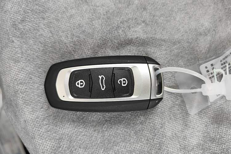 Used Geely Galaxy Panda 2024 Panda Mini 200km Endurance Bear Vehicle Key