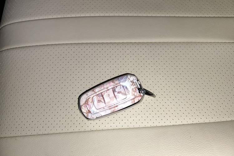 Used Geely Galaxy Panda 2024 Panda Mini 200km Endurance Bear Vehicle Key