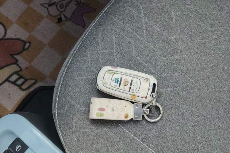 Used Geely Galaxy Panda 2024 Panda Mini 200km Longteng PRO Edition Vehicle Key