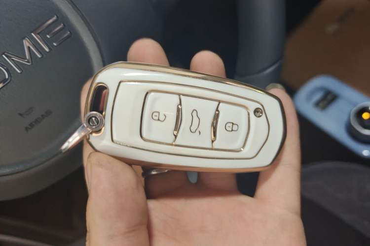 Used Geely Galaxy Panda 2024 Panda Mini 200km Endurance Bear Vehicle Key